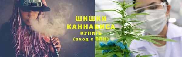 гашик Алзамай