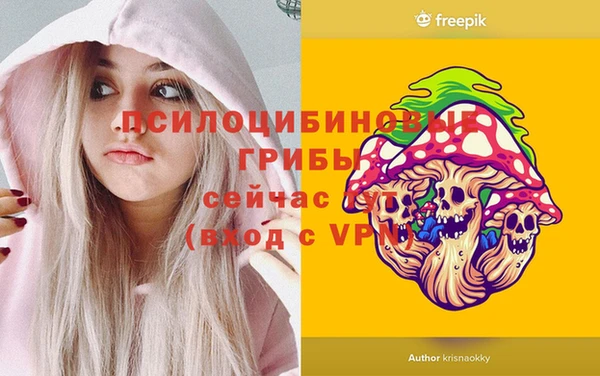 гашик Алзамай
