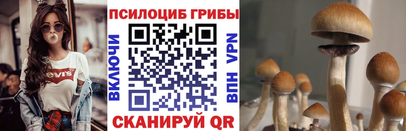 купить закладку  Кемерово  Псилоцибиновые грибы мухоморы 