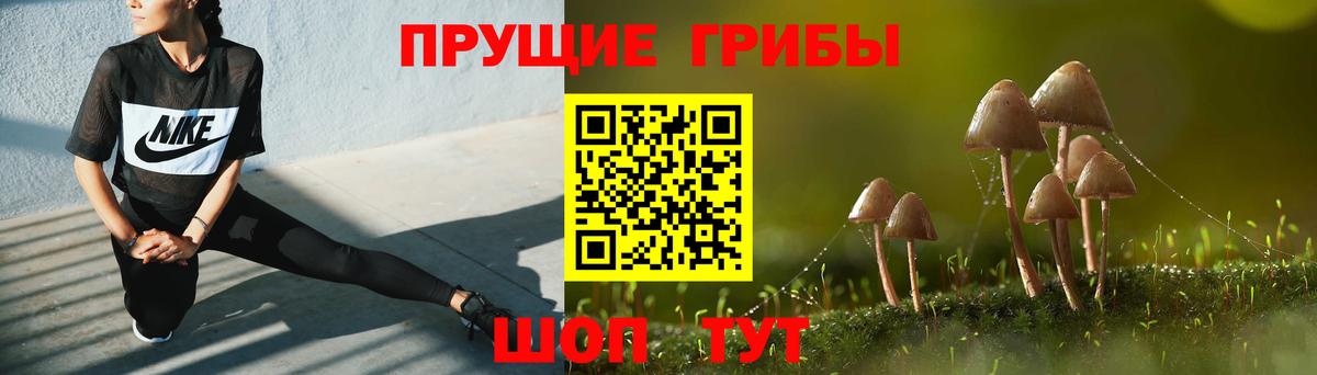Галлюциногенные грибы Psilocybine cubensis Кемерово